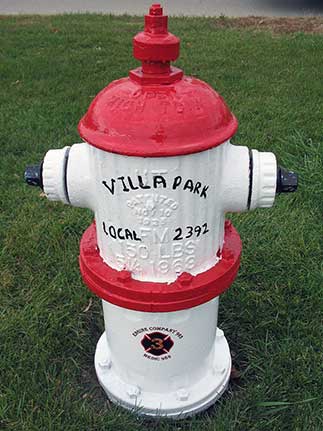 Ashes the Dog - 1415 S. Ardmore (2)